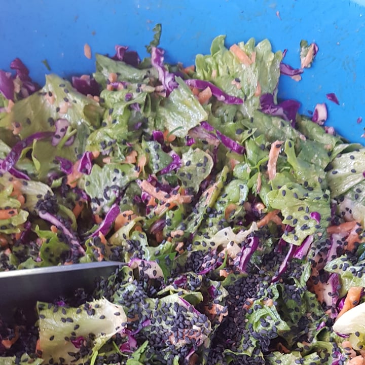 review photo of AMANTI Cozinha Vegana salada de folhas verdes, cenoura e molho de requeijão de inhame shared by @carlafernandes on 31 Jul 2022 - review