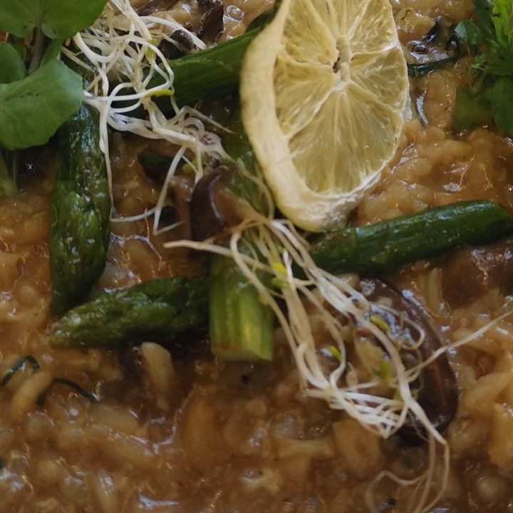 review photo of Il Paparazzo Risotto de setas shared by @ilustrapets on 08 Mar 2022 - review