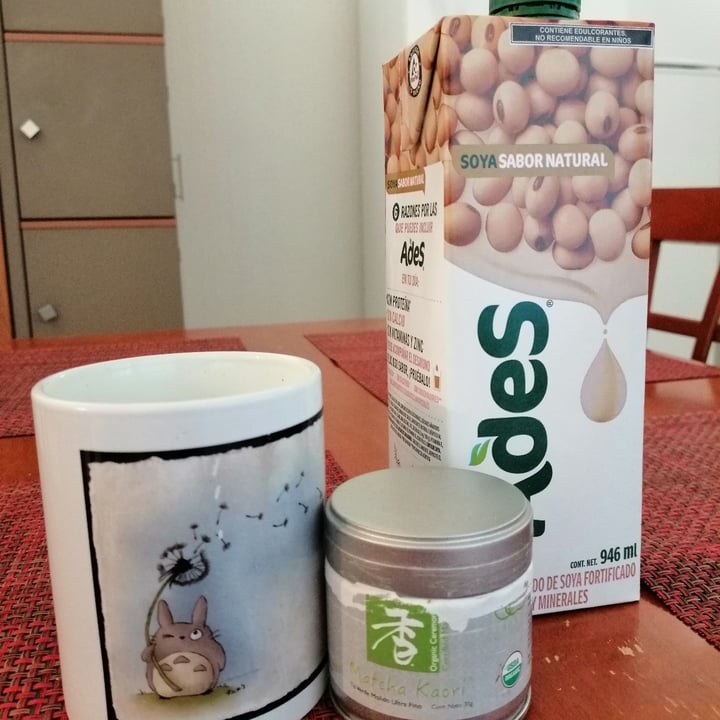 photo of Ades Leche de Soja sabor Natural shared by @patitas1080 on  04 Feb 2021 - review