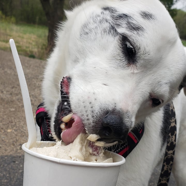 photo of STALK & SPADE Vanilla Soft Serve shared by @ambularfortheanimals on  02 May 2021 - review