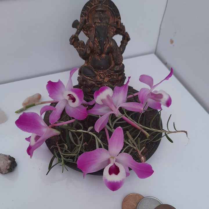 review photo shared by @danireich on 28 Jul 2022 - post