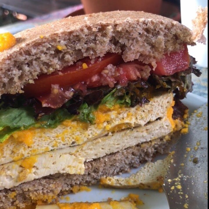 photo of Mattinata Sandwich tofu shared by @antolab on  30 Jan 2021 - review
