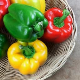 organicos da vila