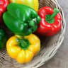 organicos da vila