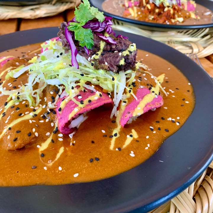 photo of La Pitahaya Vegana Enchiladas shared by @lina1612 on  13 Oct 2020 - review