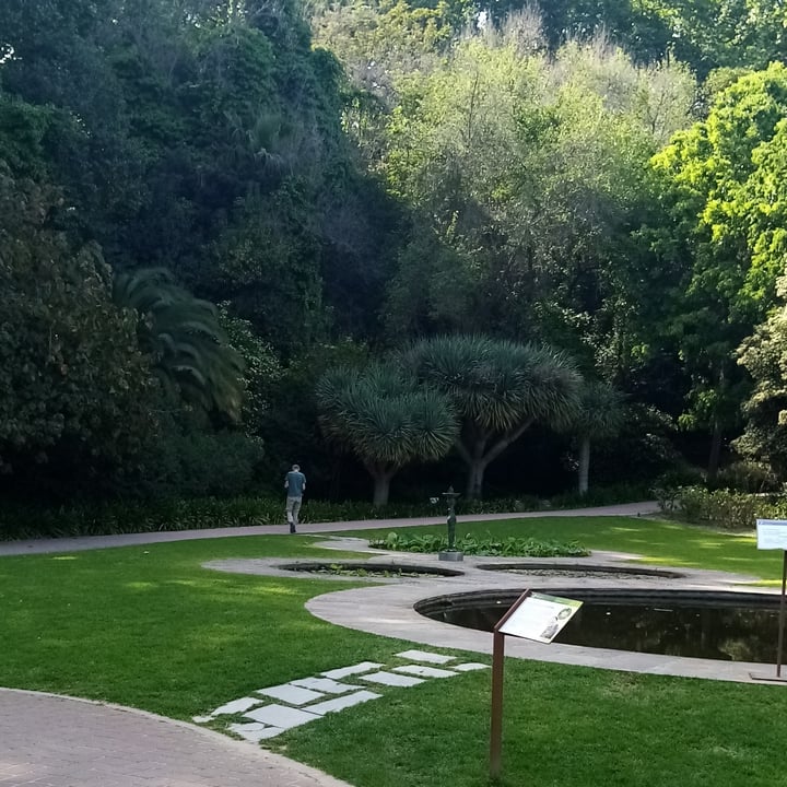 photo of Cafetería Jardín Botánico Zumo de frutas del bosque shared by @sanleeping on  02 May 2022 - review