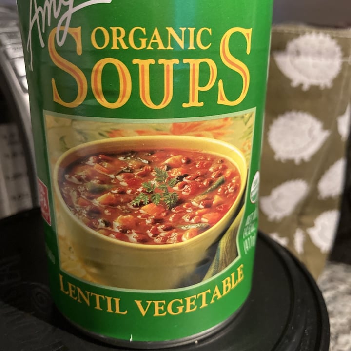 photo of Amy’s Amy's Organic Lentil Vegetable Soup shared by @tricia74 on  19 Aug 2021 - review