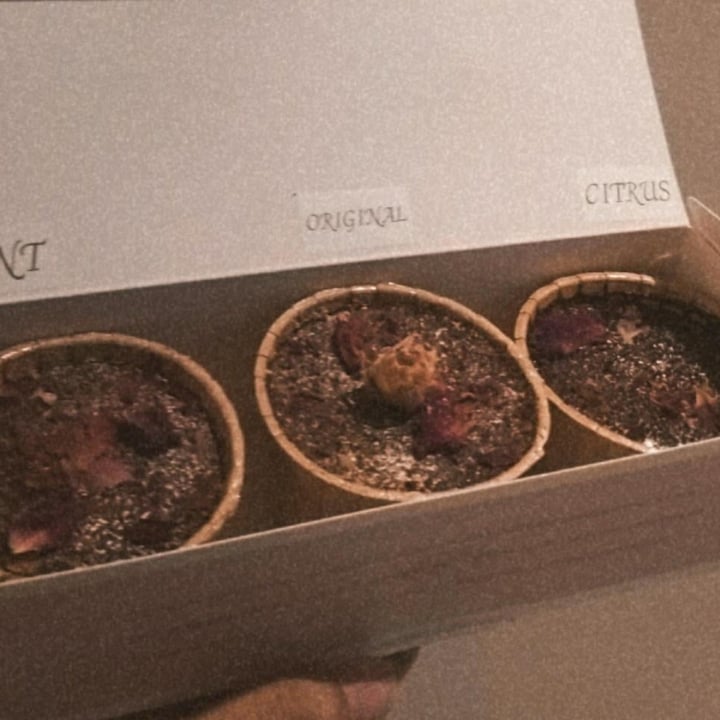 photo of Roa The Midnight Cake (Pick-up Only) Midnight Classique Cupcake shared by @tnahar on  02 Aug 2020 - review