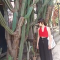 angelag @angelag profile image