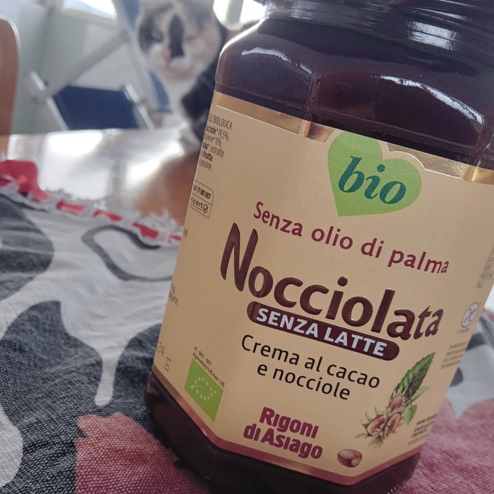 photo of Rigoni di Asiago Nocciolata Dairy Free Hazelnut Spread with Cocoa shared by @fataerrante on  11 Jan 2022 - review