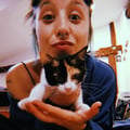 perezzamedais @perezzamedais profile image