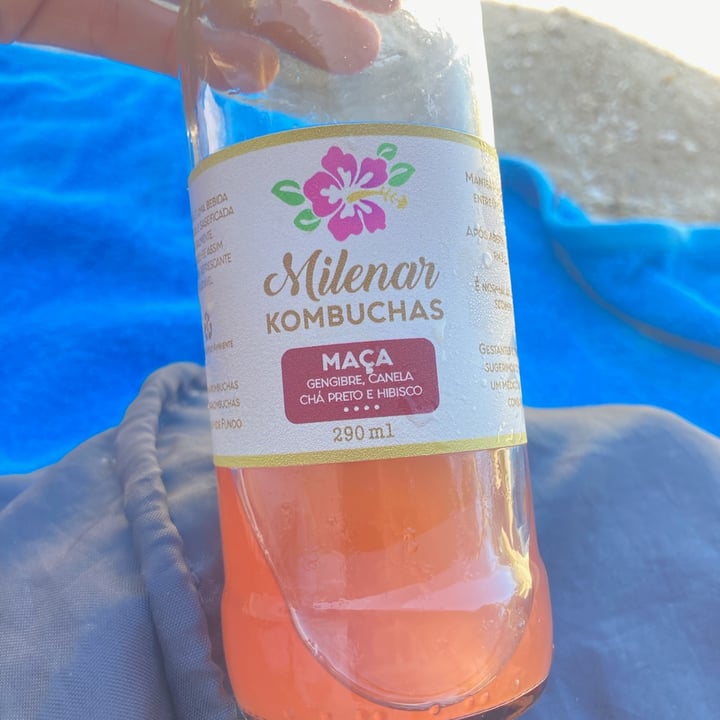 photo of Milenar Kombucha de Maçã shared by @mendesjuliana1975 on  17 Jun 2022 - review