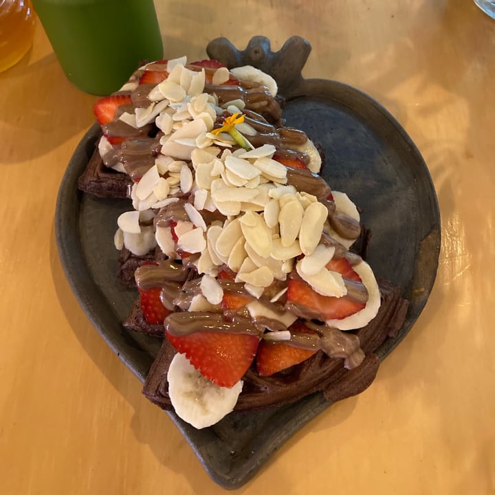 photo of Santa Hierba Waffles de cacao shared by @paupaugm on  25 Jul 2021 - review