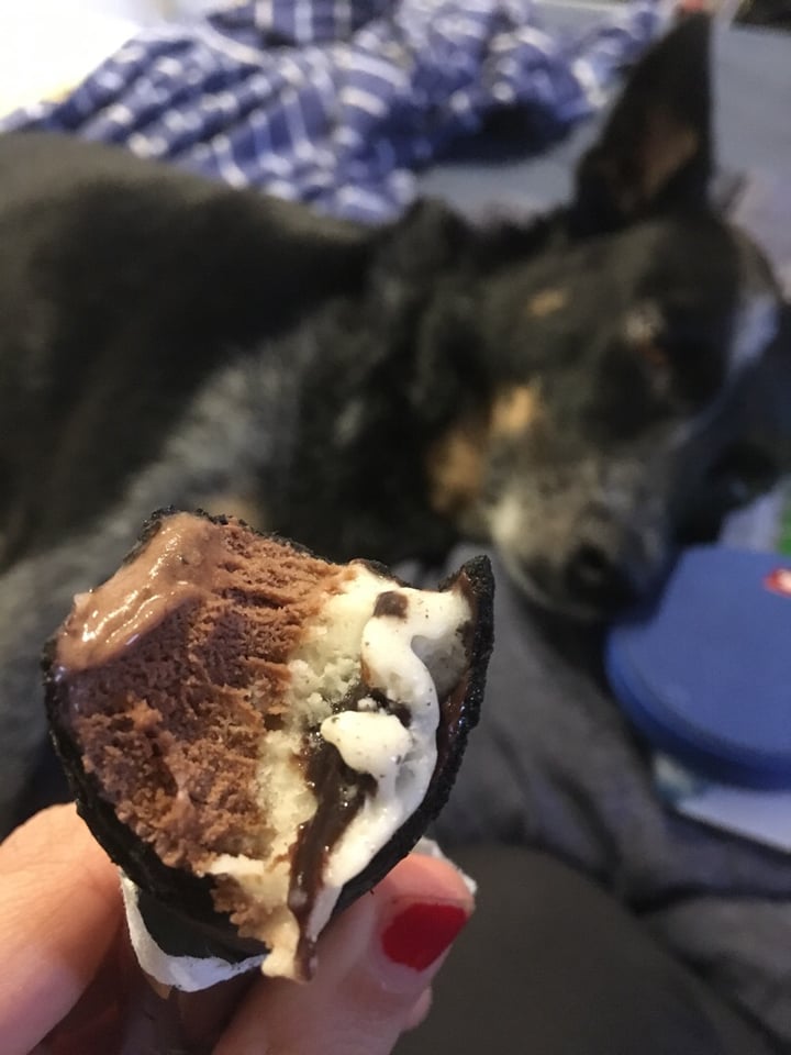 review photo of Peters Drumsticks vanilla bean choc almond shared by @raena on 03 Apr 2020 - review