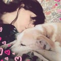 saimonanimalslover @saimonanimalslover profile image