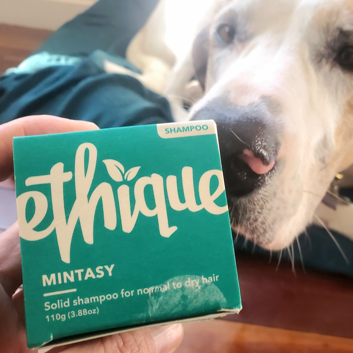 Ethique Mintasy Shampoo Bar Reviews abillion