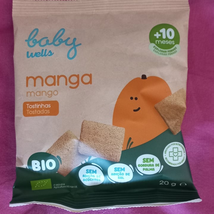 review photo of Wells Tostinhas de Manga shared by @aleehramoss on 18 Apr 2022 - review