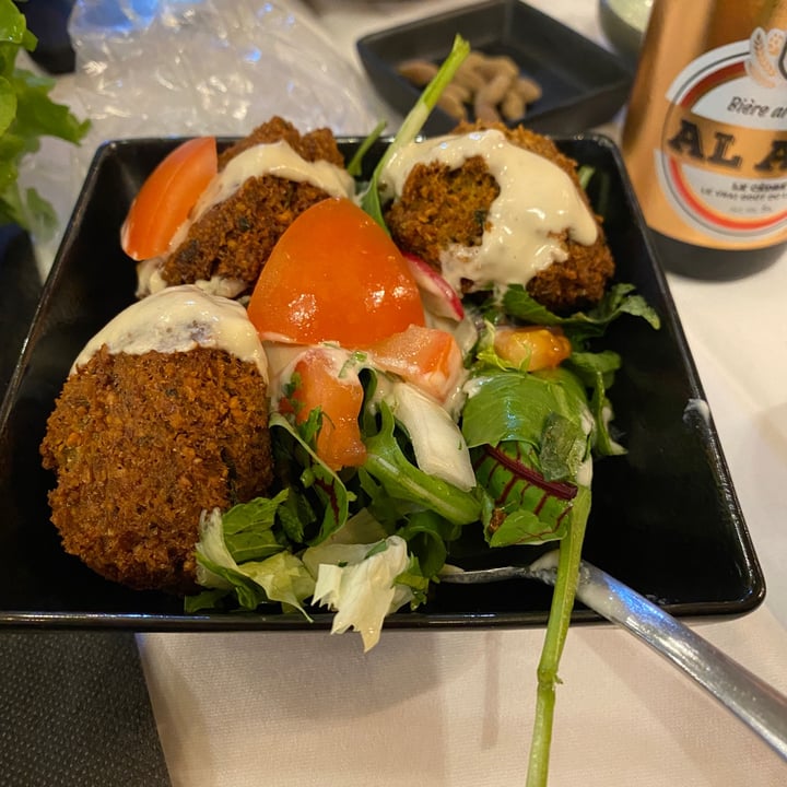 photo of Assanabel Fattoush salad and Falafels shared by @wfpbguy on  23 Apr 2022 - review
