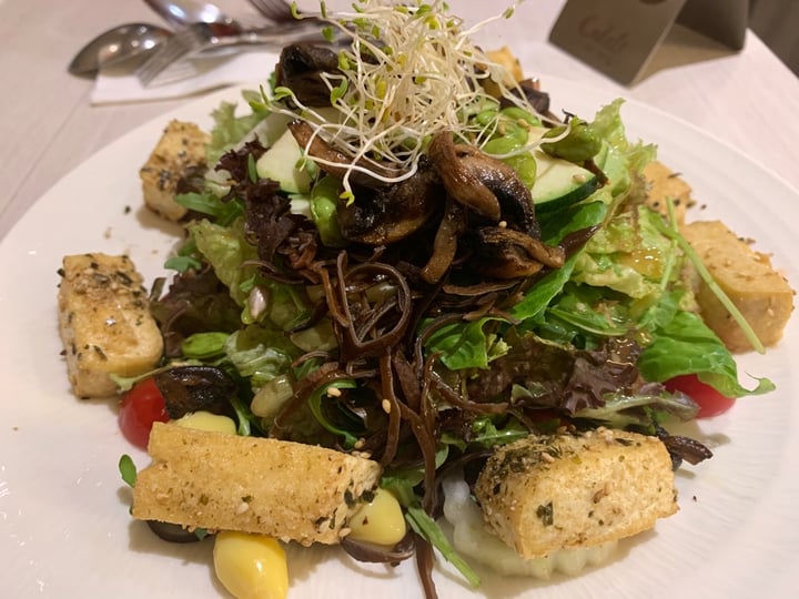 photo of Cedele Bakery Kitchen - Parkway Parade Tofu Furiyake Salad shared by @veggieinsingapore on  18 Jan 2020 - review