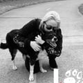 vegan-friendly @vegan-friendly profile image