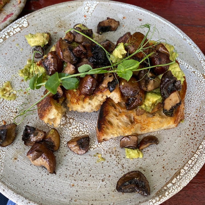 photo of Common Man Coffee Roasters Marmite Mushrooms shared by @amindfulmiao on  19 Nov 2020 - review