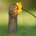 monyveg @monyveg profile image