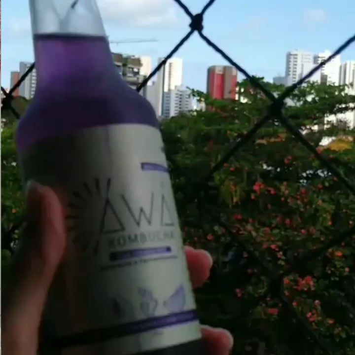 photo of Awá Kombucha Kombucha Fada Azul shared by @lucianealves on  11 May 2022 - review