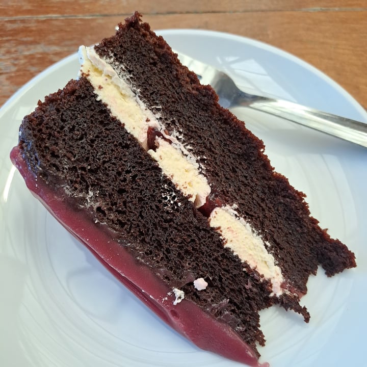 photo of Squire’s Garden Centre vegan chocolate and raspberry cake shared by @nickyv on  10 Jun 2022 - review