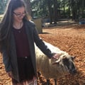 allisonwalters @allisonwalters profile image