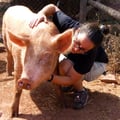 viajeracronica @viajeracronica profile image
