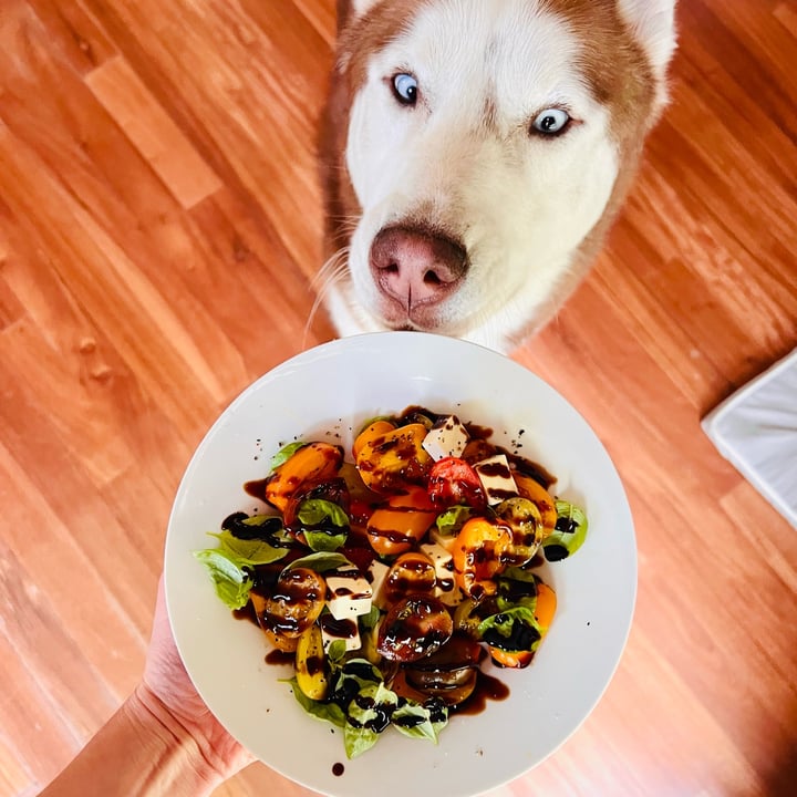 review photo shared by @jenboog on 06 Jun 2022 - post