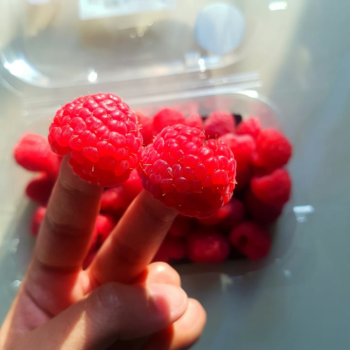 photo of Woolworths Food Raspberries shared by @greenbeang on  14 Jun 2021 - review