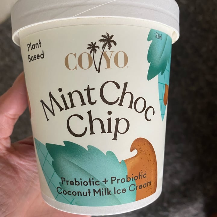 review photo of Coyo Mint Choc Chip Coconut Milk Ice Cream shared by @chanelaubree on 17 Dec 2021 - review