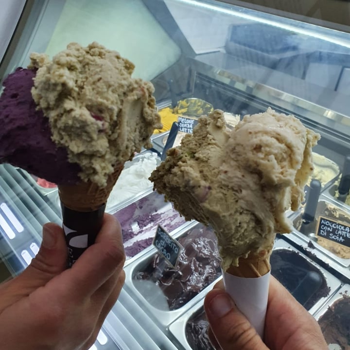 photo of Le Logge - Gelateria Gelato shared by @monica86 on  24 Nov 2021 - review