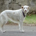 recchiabella @recchiabella profile image