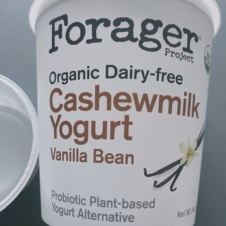 photo of Forager Project Organic Dairy-free Cashewmilk Yogurt Vanilla Bean shared by @gemgirl on  01 Dec 2021 - review