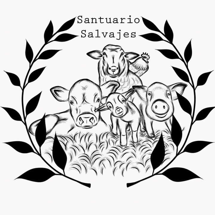 review photo shared by @santuariosalvajes on 03 Aug 2021 - post