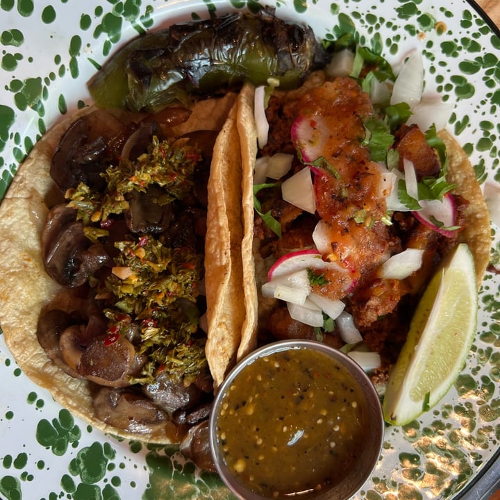 photo of Penelope’s Vegan Taqueria Tacos shared by @berryveganplanet on  14 Jul 2022 - review