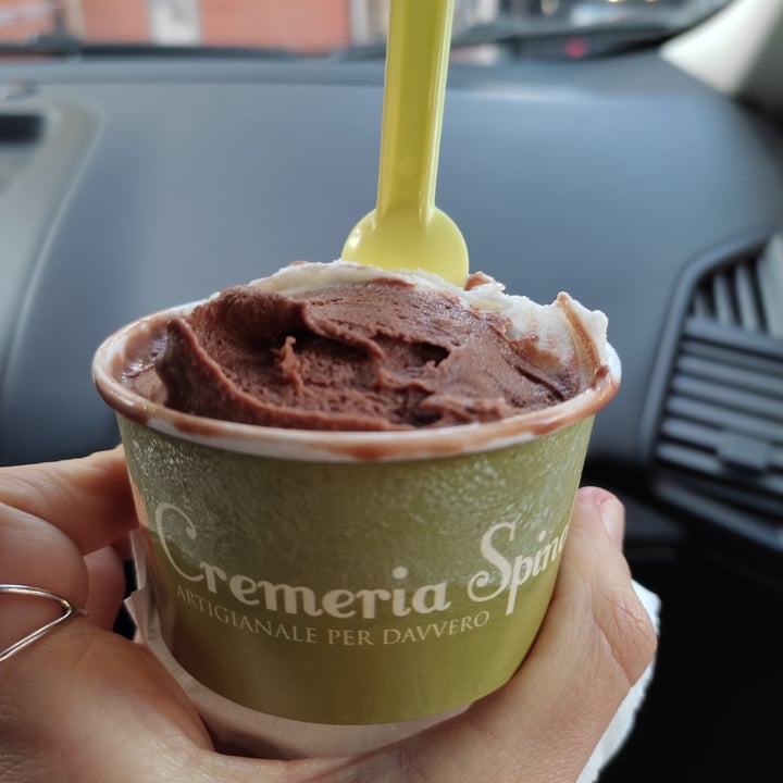 photo of Cremeria Spinola gelato mandorla e bacio veg shared by @diana17 on  28 Apr 2022 - review