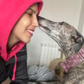 irenevegan @irenevegan profile image