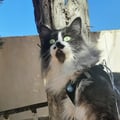miriamnortes @miriamnortes profile image
