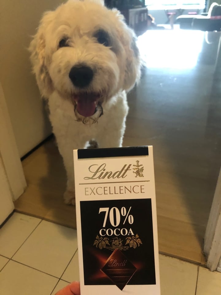 photo of Lindt 70% Cocoa Dark Chocolate Excellence Bar shared by @brigittestaps on  16 Dec 2019 - review