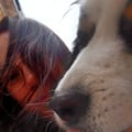 sara30 @sara30 profile image