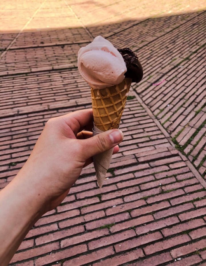 photo of Gocce di latte Vegan ice cream shared by @ashuuuuni on  31 May 2019 - review