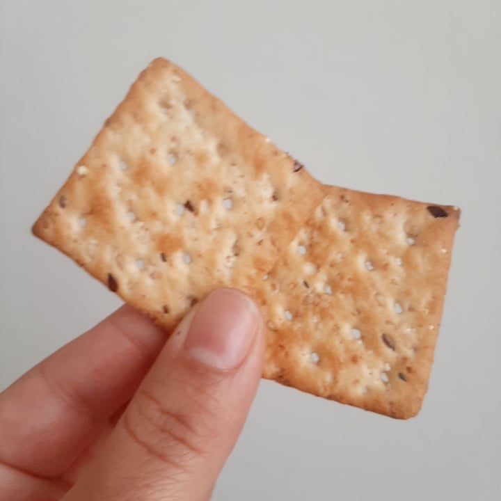 photo of Molino Cañuelas Galletitas 5 Semillas Mini Crackers Paseo shared by @melibustos on  27 Oct 2022 - review