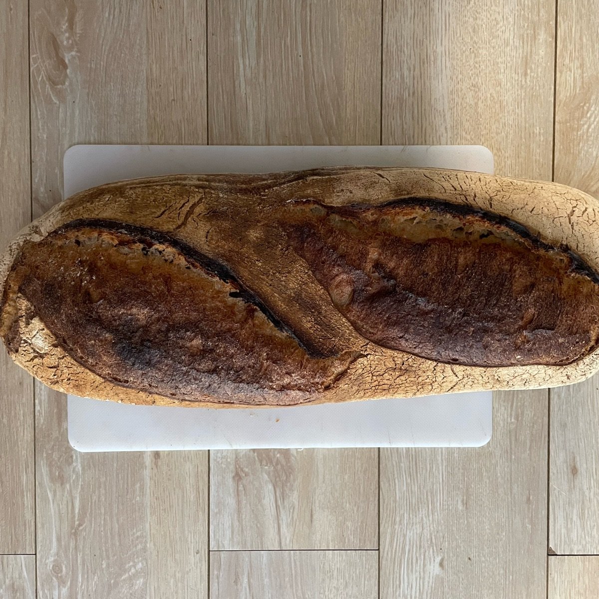 Schoon bread Double Sourdough Reviews abillion