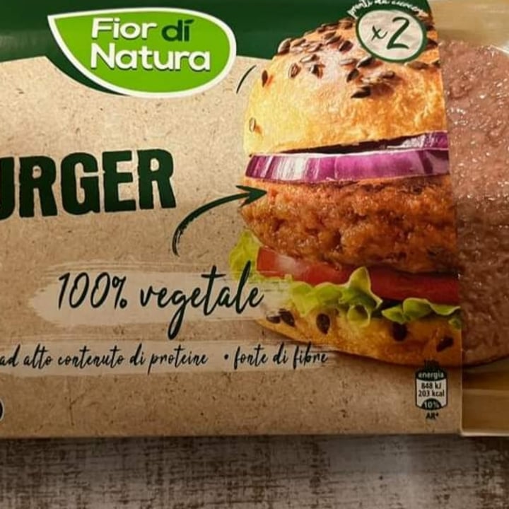 photo of Fior di Natura Hamburger shared by @dianaaponte on  17 May 2022 - review