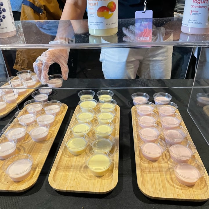 review photo of Forager Project Organic Dairy-free Probiotic Cashewmilk Yogurt Mango shared by @terrypaulette on 08 Apr 2022 - review
