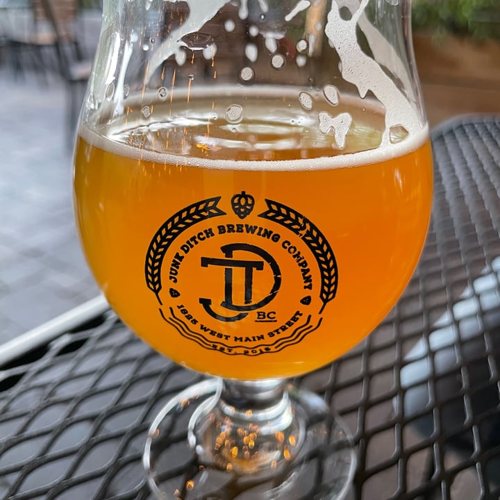 photo of Junk Ditch Brewing Company wyvern shared by @karenasp on  02 Oct 2022 - review