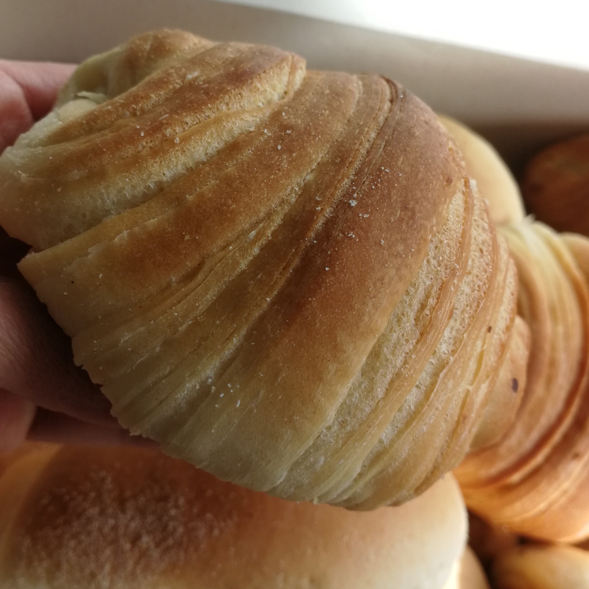 Panaderia.co Hojaldrado Reviews | abillion